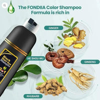 Unisex Instant Black Herbal Hair Dye Shampoo for Grey Hair Coverage 3 in 1(100ml)